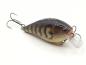Preview: Carp 9cm